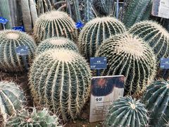 -国家植物园南园