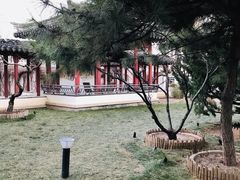 -亮马河饭店翠雅咖啡厅