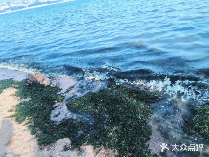 栈桥景区图片