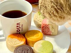 -COSTA COFFEE(上海月星环球港店)