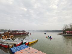 -上海海湾国家森林公园