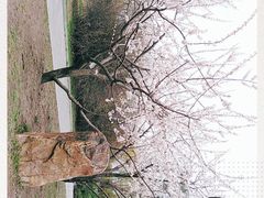 -长春公园(普阳街道)