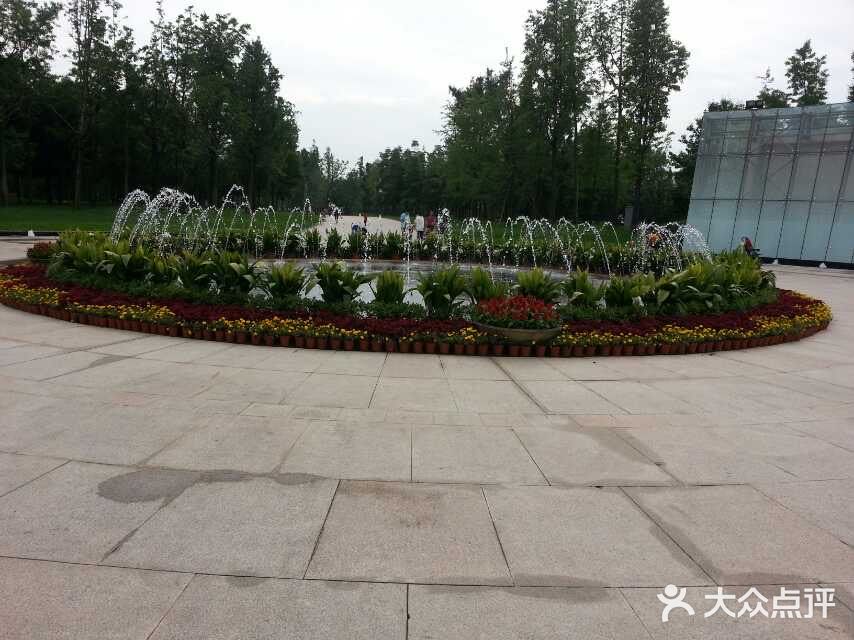 无锡橙V有特权