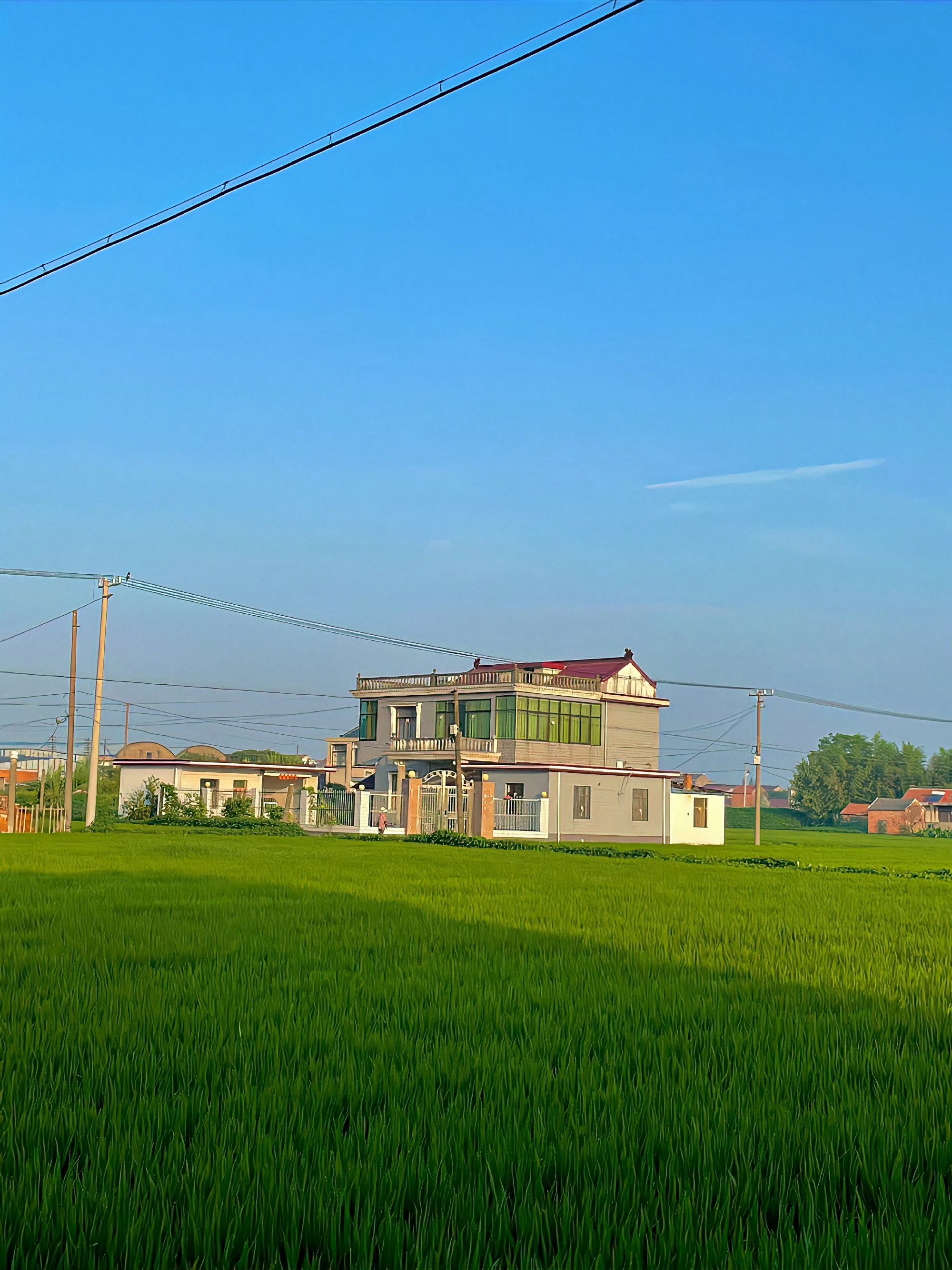 乡村风光走进田间小路