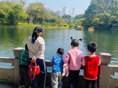 -晓港公园