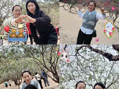 -南国桃园旅游度假区