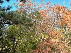 -香山公园