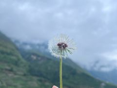 -萝卜寨羌文化生态旅游区