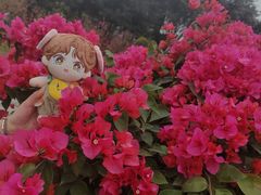-海珠湖公园