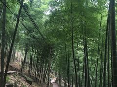 -藏龙百瀑风景区