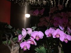 -璞·澐间影院式足道SPA(尚悦湾店)