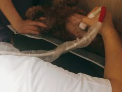 -恒幸动物医院·急重症转诊中心·神经内外科·CT核磁