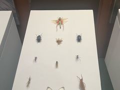 -天津自然博物馆