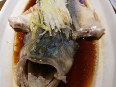 清蒸鲈鱼-滇铺子·云南特色菜·第九届野生菌美食节(东风东路c86店)