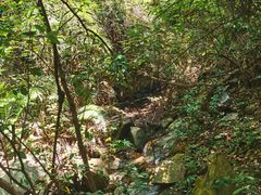 -水濂山森林公园