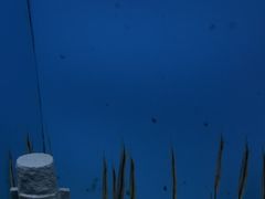 -北戴河圣蓝海洋公园