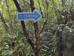 -千岛湖石林