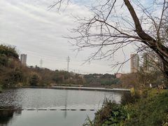 -重庆彩云湖湿地公园