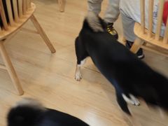 -柴の食堂·日式家庭料理·熊之肆(大学路店)