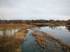 -贡湖湾湿地公园