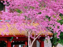 -天竺岩寺