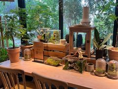 -自由生长植物工作室(深港花卉中心店)