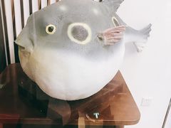 -肆月河豚·新淮扬(金融街店)