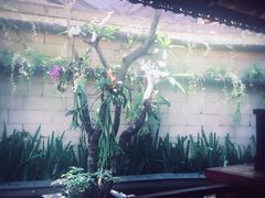 -Pundi Pundi Restaurant