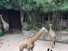 -长鹿旅游休博园