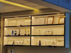 -武汉大学附属爱尔眼科医院(湖北总院)