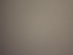 -大碗居·烤鸭·鱼头泡饼(天坛东门店)