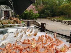 -临空皇冠假日酒店-西餐厅(首都机场店)