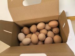 -马陆小张葡萄园农家乐