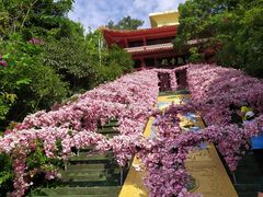 -丰都鬼城名山景区