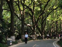 -采石矶景区