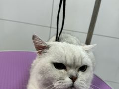 -贝康宠物医院·犬猫全科·小动物特色诊疗中心(东环路店)
