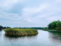-溱湖国家湿地公园