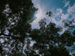 -金堂县云顶石城风景区