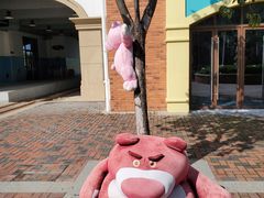 -歌斐颂巧克力小镇