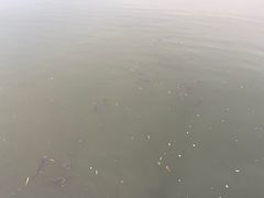 -江南大学(蠡湖校区)