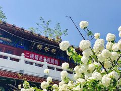-曹州牡丹园