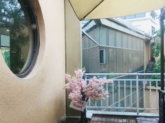-重庆南山海昌汤都