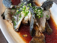 -阿毛饭店·宁波老字号(儿童公园旗舰店)