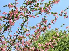 -浙江农林大学(东湖校区)