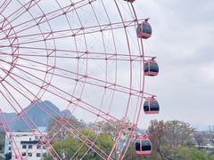 -柳州市动物园