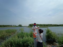 -蒲河岛湿地公园