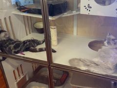 -老炮儿轰趴团建KTV桌游棋牌主题馆(五道口店（底商店))