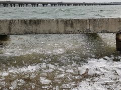 -丁香湖公园