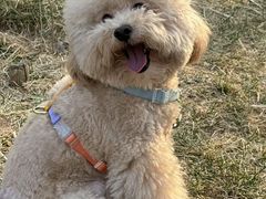 -心仪动物医院·牙专科·肿瘤·心脏科(西客站院)