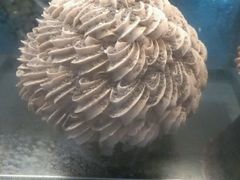 -上海浦东嘉里大酒店